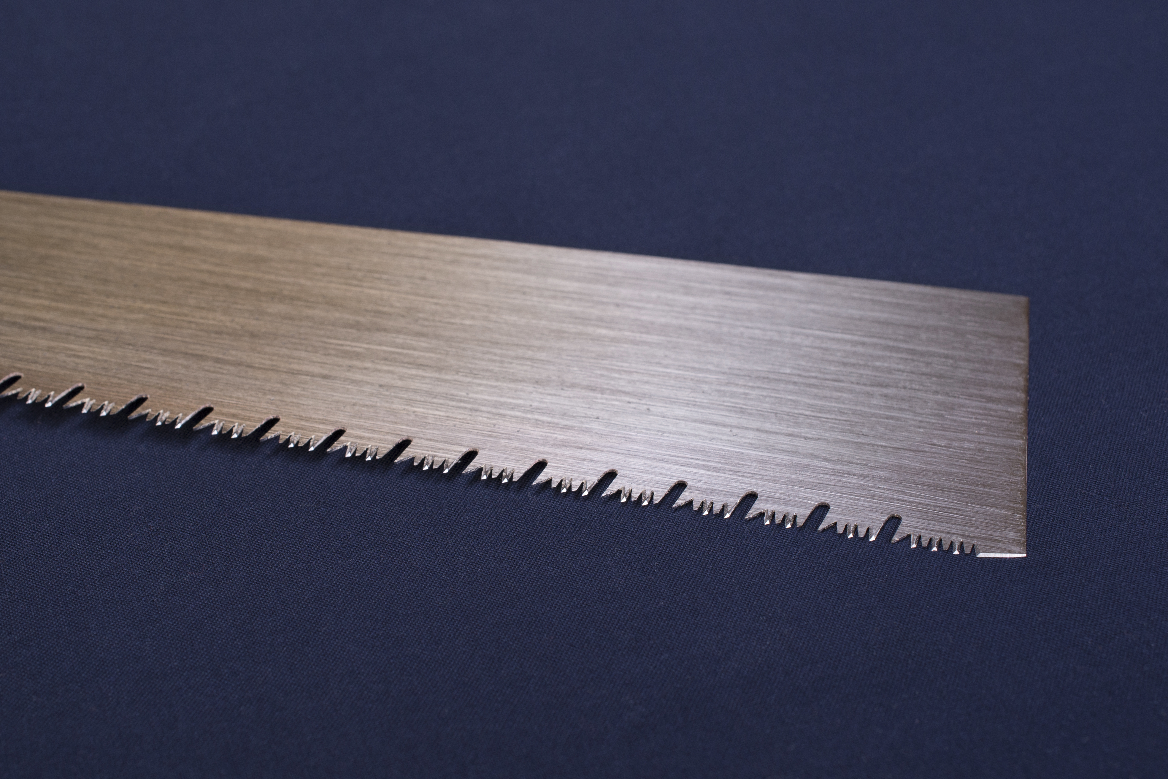 すぎのこ Sugimoto 